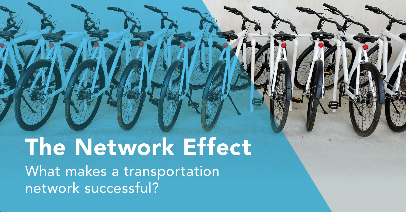 The Network Effect: What makes a transportation network successful?