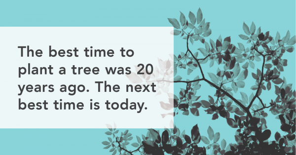 The best time to plant a tree was 20 years ago. The next best time is today.