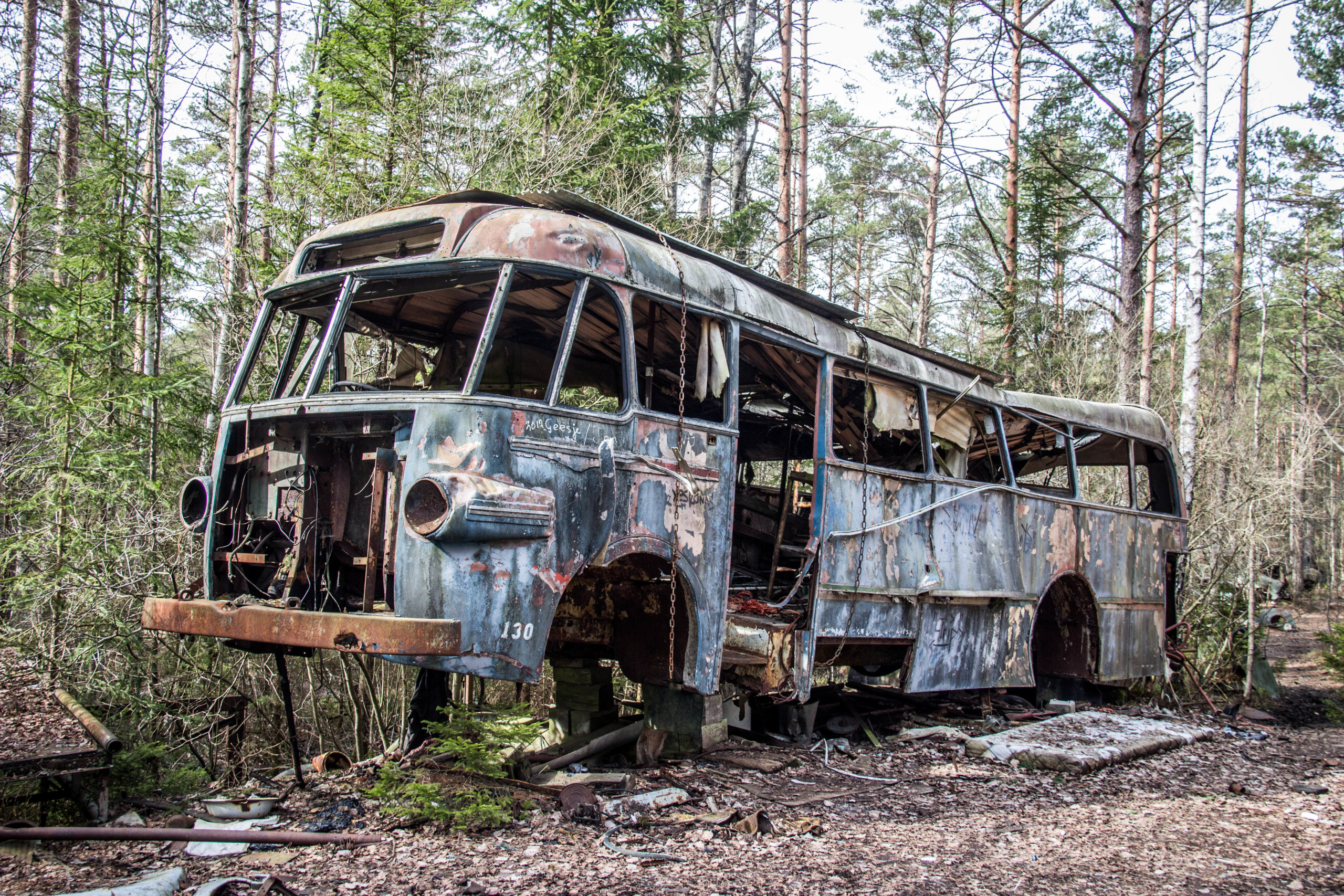 remains of a public transit bus in the woods.